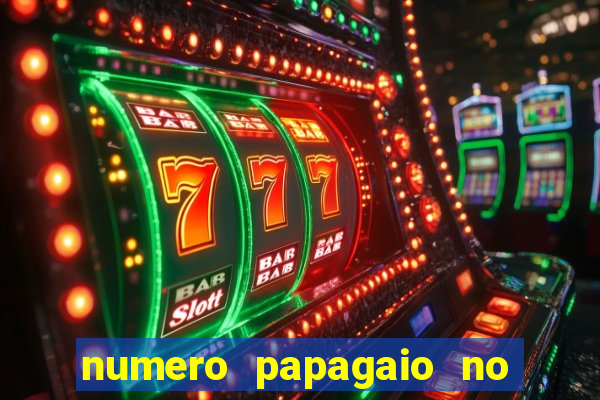 numero papagaio no jogo do bicho